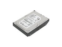 Lenovo - Disque dur - 500 Go - interne - 3.5" - SATA 3Gb/s - 7200 tours/min - mémoire tampon : 8 Mo - pour ThinkCentre M70; M72X; M75t Gen 2; M90; M910; V520-15; V530; V530-15; V530S-07; V55t-15 43R1990