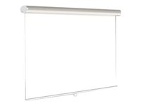 Oray Super Gear Pro - Écran de projection - montable au plafond, montable sur mur - 134" (339 cm) - 1:1 - blanc mat - aluminium et blanc laqué MPP08B1240240