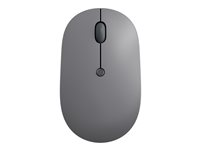 Lenovo Go - Souris - ergonomique - droitiers et gauchers - bleu optique - 5 boutons - sans fil - 2.4 GHz - récepteur sans fil USB-C - gris orage - Pour la vente au détail - CRU GY51C21210