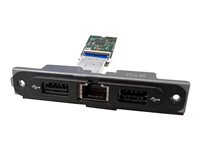 Intel LAN & USB Add-On Assembly - Module d'extension - 2.5GBase-T x 1 + USB 2.0 x 2 NUCIOALUWS