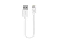 Belkin Charge/Sync Cable - Câble Lightning - Lightning (M) pour USB (M) - 15 cm - blanc - pour Apple iPad/iPhone/iPod (Lightning) F8J023BT06INWHT