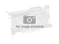 Dell PowerEdge HBA330 - Contrôleur de stockage - SAS 12Gb/s - 1.2 Go/s - PCIe 3.0 Mini Card - pour PowerEdge R430, R530, R630, R640, R6415, R730, R730xd, R740, R740xd, R7415, R830 405-AAJW