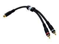 C2G Velocity - Adaptateur audio - RCA mâle pour RCA femelle - paire torsadée blindée (STP) 80318