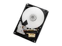 HGST Ultrastar 7K6000 HUS726060ALN610 - Disque dur - 6 To - interne - 3.5" - SATA 6Gb/s - 7200 tours/min - mémoire tampon : 128 Mo 0F23002