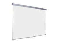 Oray Super Gear PRO - Écran de projection - montable au plafond, montable sur mur - 111" (283 cm) - 16:10 - blanc mat - finition époxyde gris MPP08B1150240