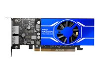 AMD Radeon Pro W6400 - Carte graphique - RDNA 2 - 4 Go GDDR6 - PCIe 4.0 x4 - 2 x DisplayPort 100-506189