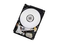 HGST Travelstar 7K1000 HTE721010A9E630 - Disque dur - 1 To - interne - 2.5" - SATA 6Gb/s - 7200 tours/min - mémoire tampon : 32 Mo 0J30573