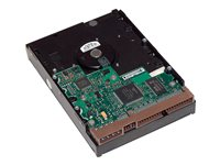 HP - Disque dur - 1 To - interne - 3.5" - SATA 6Gb/s - 7200 tours/min - mémoire tampon : 32 Mo - pour Workstation Z1 G5, Z2 G4, Z2 G5, Z2 G8, Z2 G9, Z230, Z4 G4, Z420, Z6 G4, Z620, Z640, Z8 G4 LQ037AT