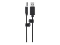 Belkin Common Access Card USB Cable - Câble USB - USB (M) pour USB type B (M) - 3 m - B2B - pour P/N: F1DN102KVM-UN-3, F1DN104F-3AU, F1DN104KVM-UN-3, F1DN202KVM-UN-3, F1DN204KVM-UN-3 F1D9013B10